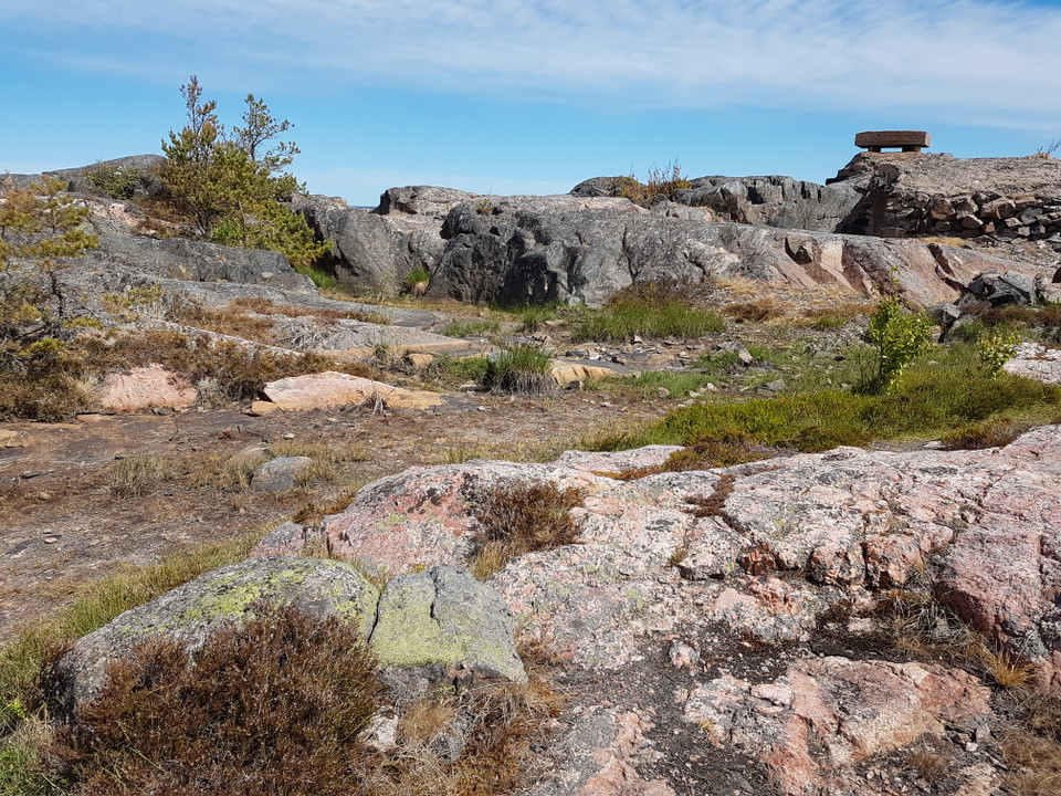 Rönnskärs udde naturreservat. Foto: Josefin Sundberg