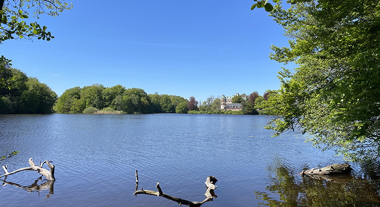 Häckebergasjön.