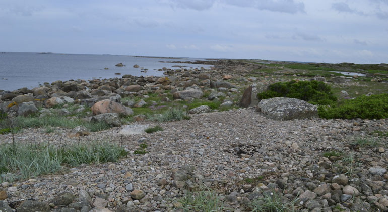 småsten vid strandkanten