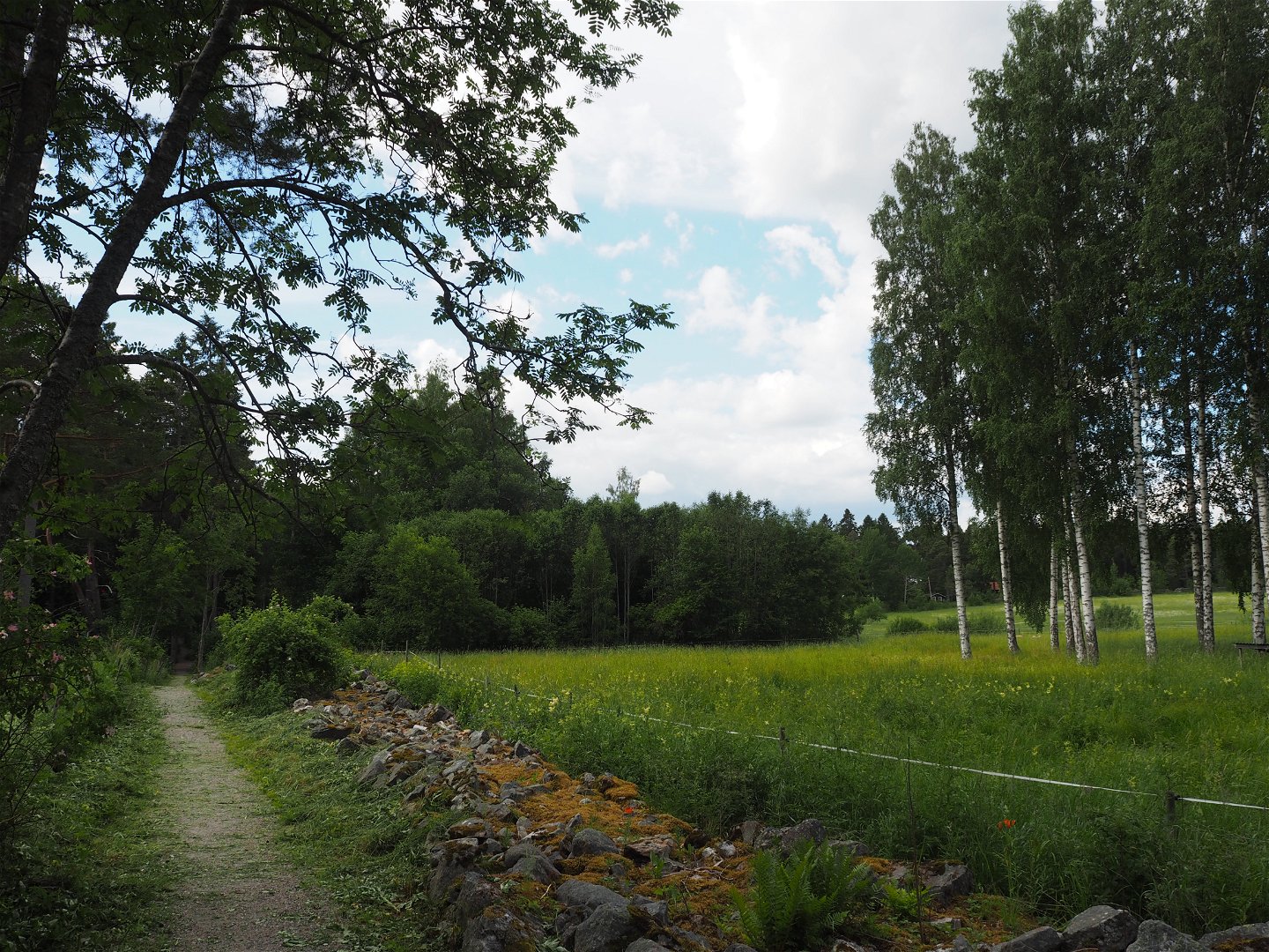 Norrlandets kustled med utsikt över betesmark i grönska