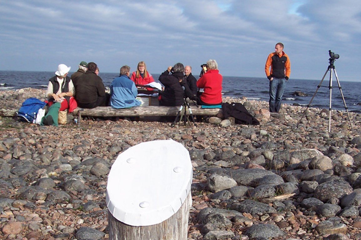 På en stenstrand sitter en grupp människor på stockar vid en grillplats. Flera spanar ut över havet med kikare. En person står vid en tubkikare bredvid.