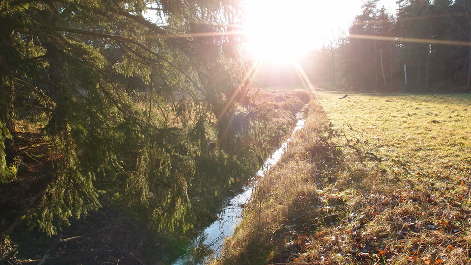 Dike vid Långängen. Foto Lidingö stad