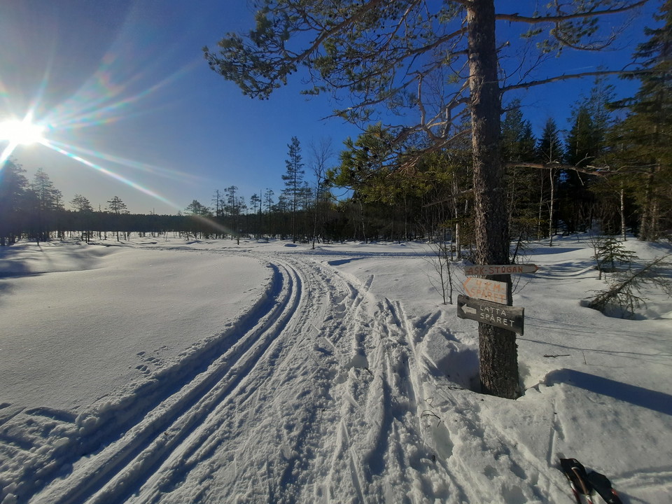 Lätta myrslingan passar alla!