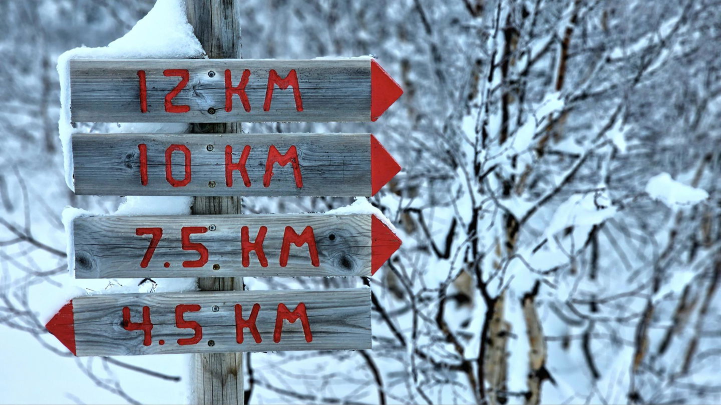 Hänvisningsskyltar i trä som visar distanserna 12k, 10km, 7.5km, 4.5km