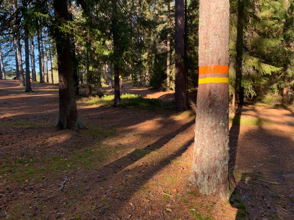 Ledmarkering Ljustjärn