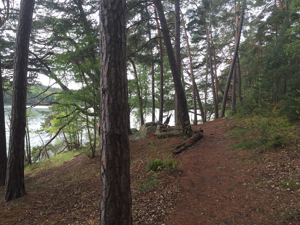 Stigen slingrar sig fram runt Kärsön.