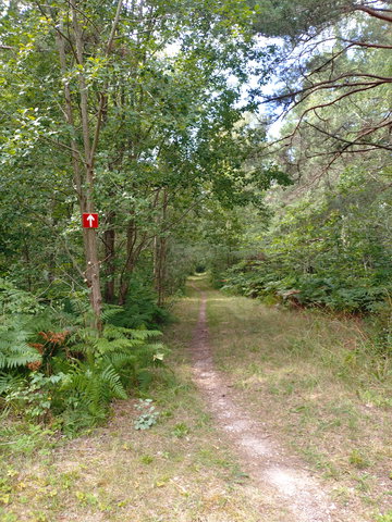 Röd bana, 5,2 km 