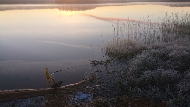Örsjön