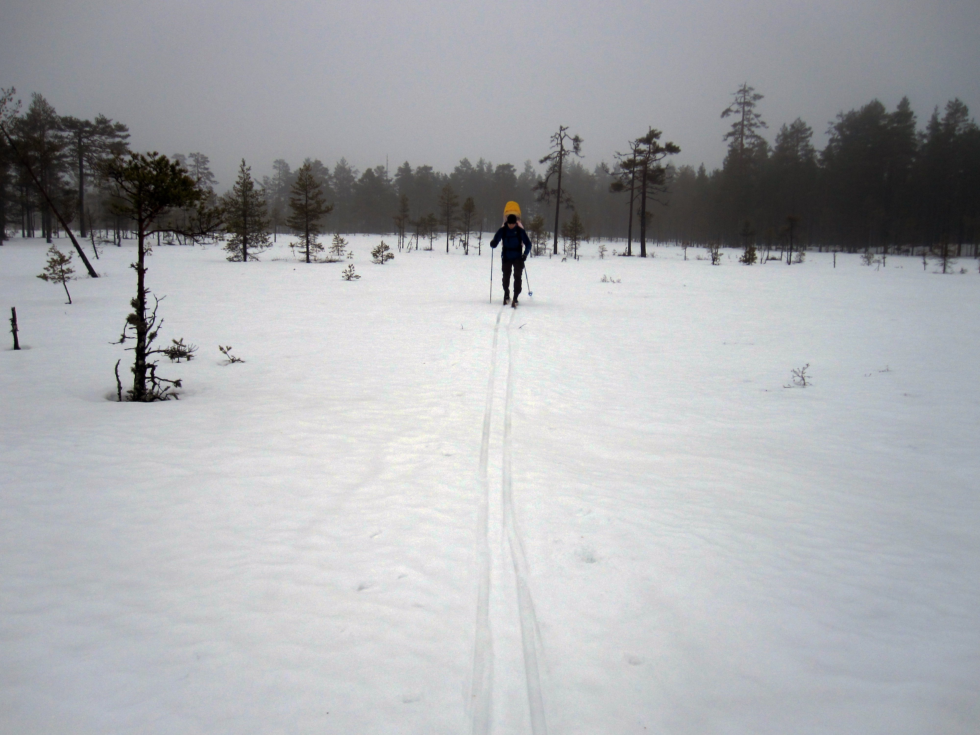En person åker längdskidor.