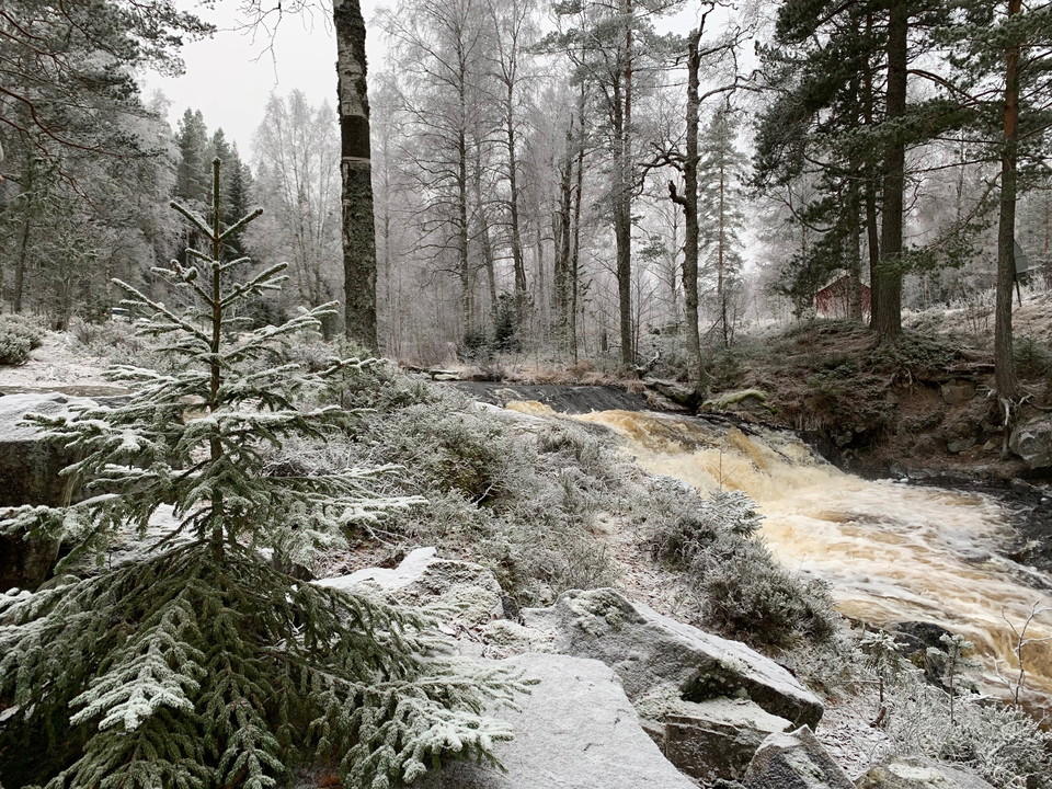 Skräddartorpsfallet