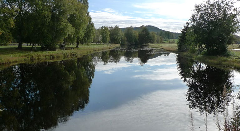 En liten del av Ljusnan går in mellan beteshagarna i Järvsöholmarna.