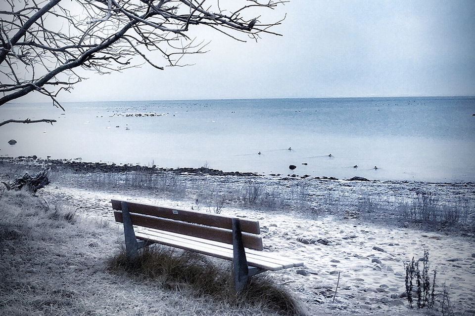 Promenera över fälten.