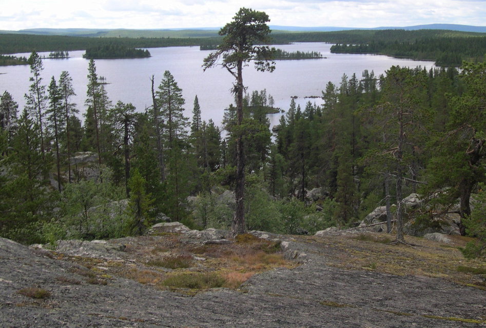 Utsikt mot Vällingträsket.