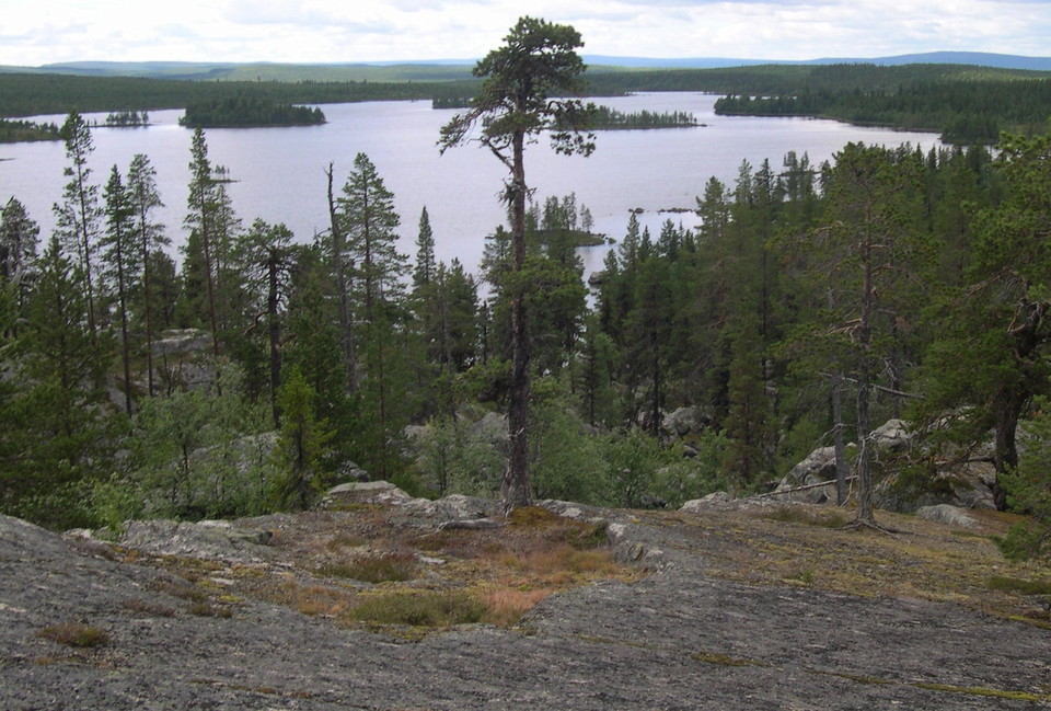 Utsikt mot Vällingträsket.