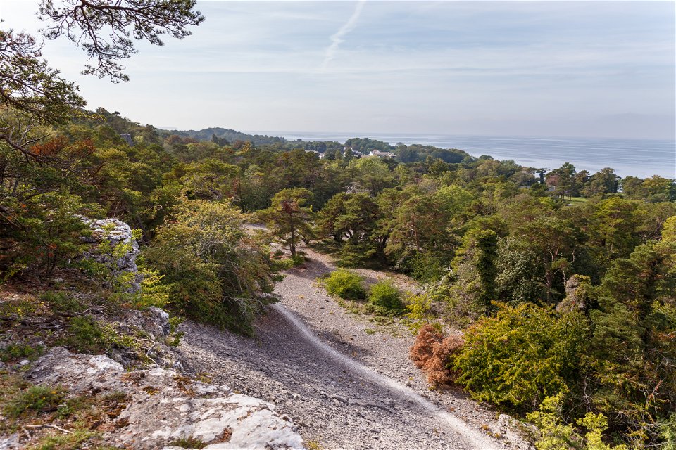Utsikt från klintkant i naturreservatet Bergbetningen.
