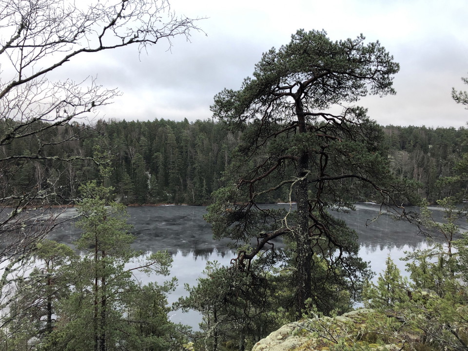 Vandra upp på Jungfruberget och njut av utsikten