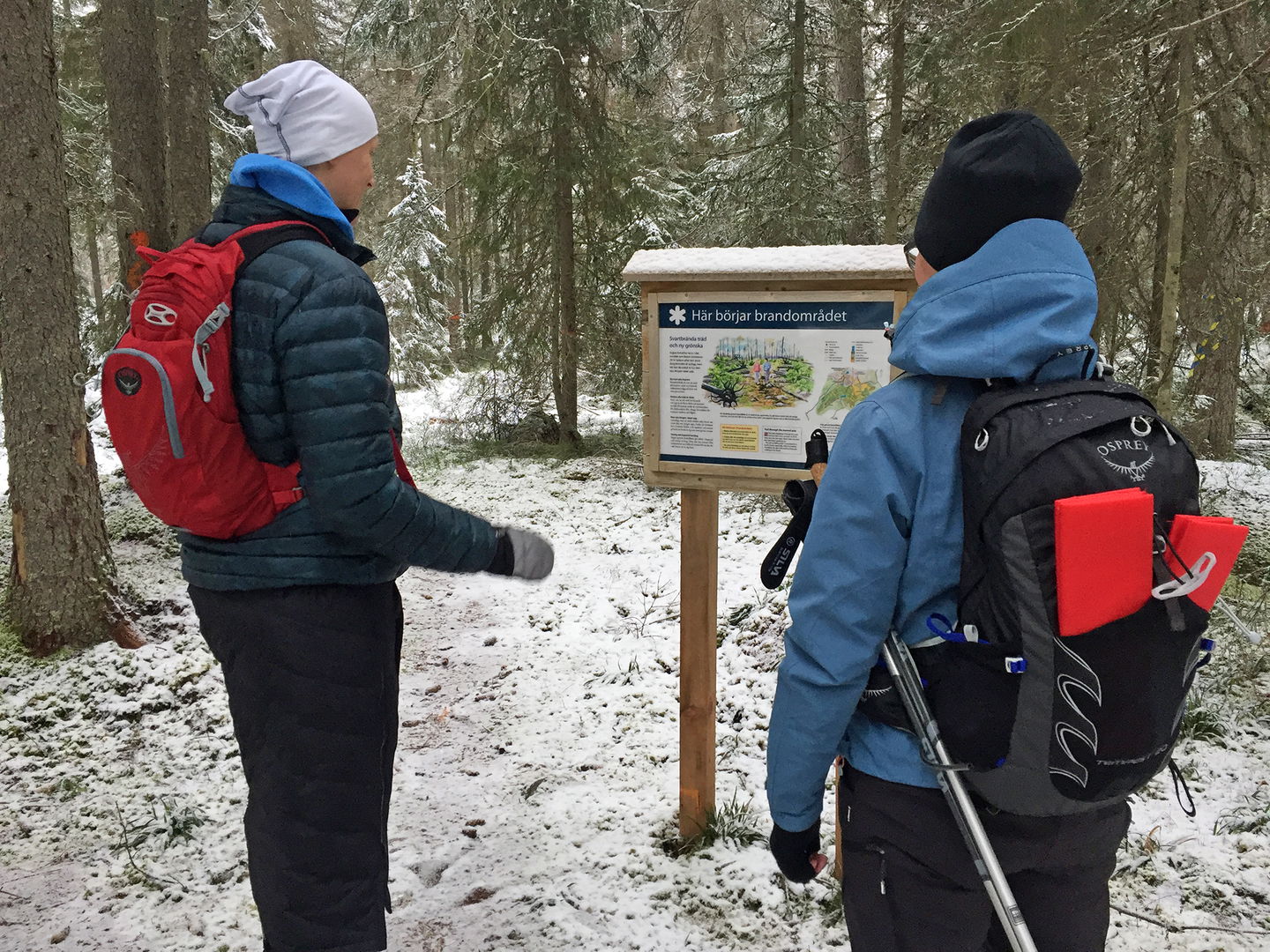 Två personer står och tittar på informationstavlan.