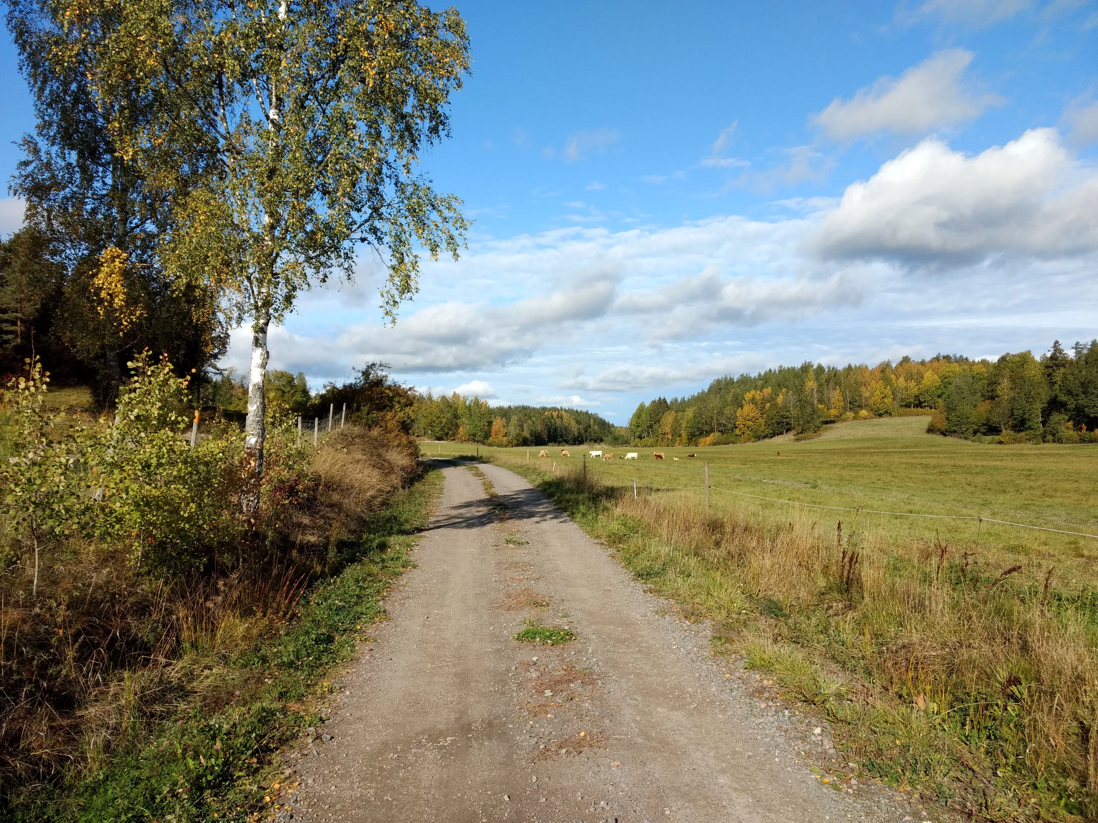 Trasken runt, Östgötaleden