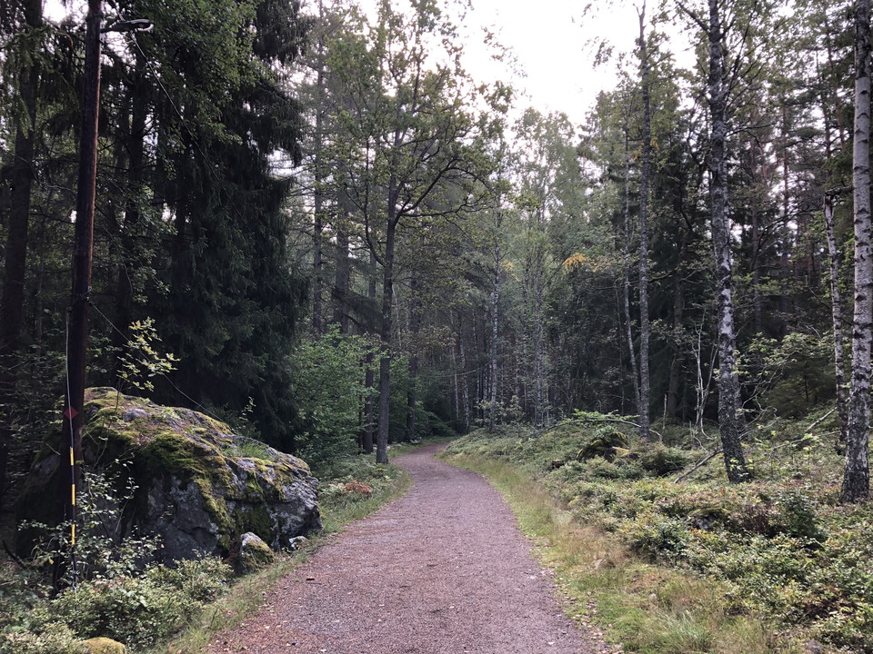 En riktig trollskog