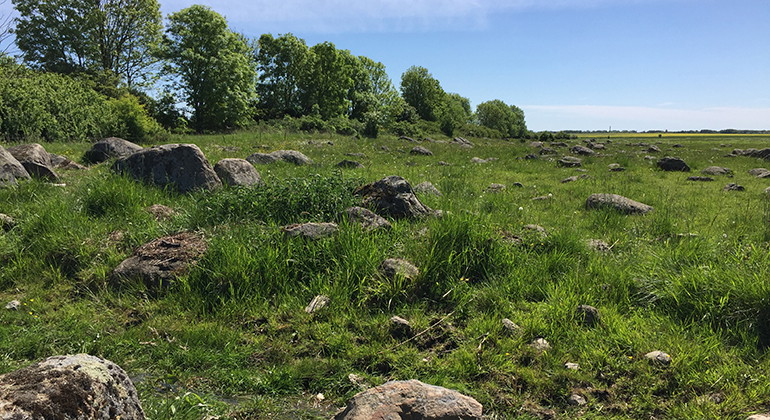 Strandäng i Fredriksdalsviken.