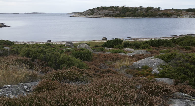 stenigt land möter hav