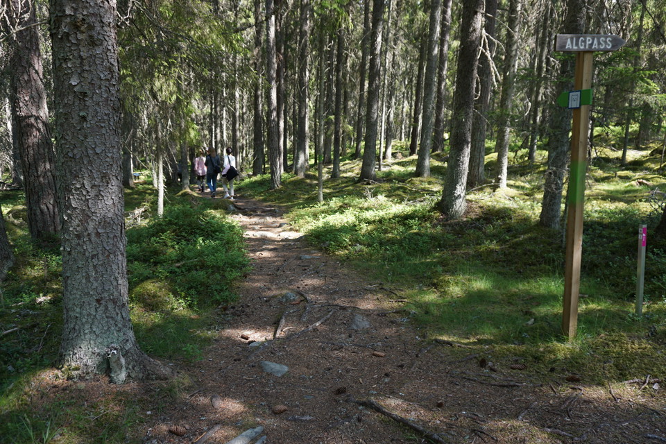 Naturstigen i Hemlingby