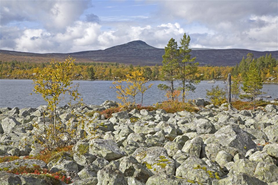 Blocklandskap vid Särsjön, Töfsingdalens nationalpark