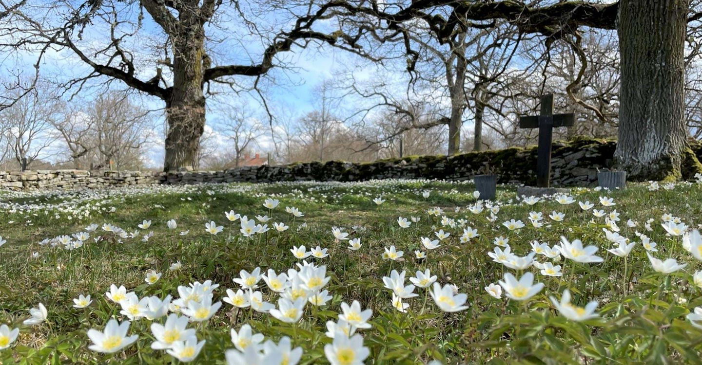 Bockakyrkogården, Borghamn.
Vadstena.