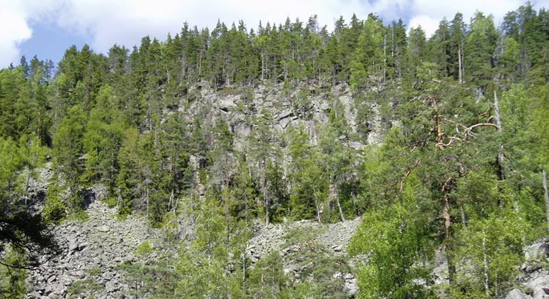 Blockbranten i Salboknös.