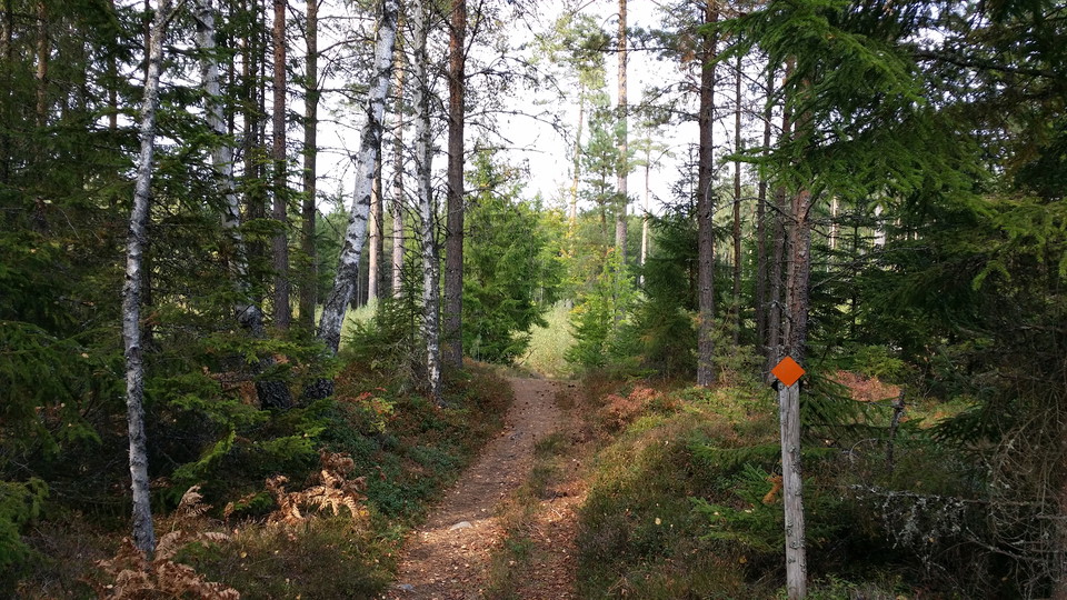 Sigfridsleden passerar