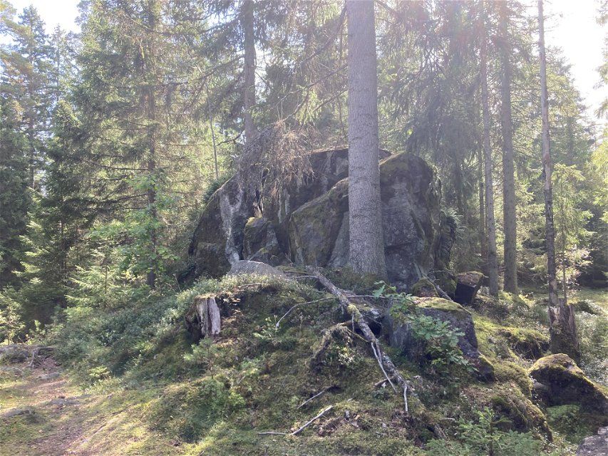 En stor sprucken sten i skogen
