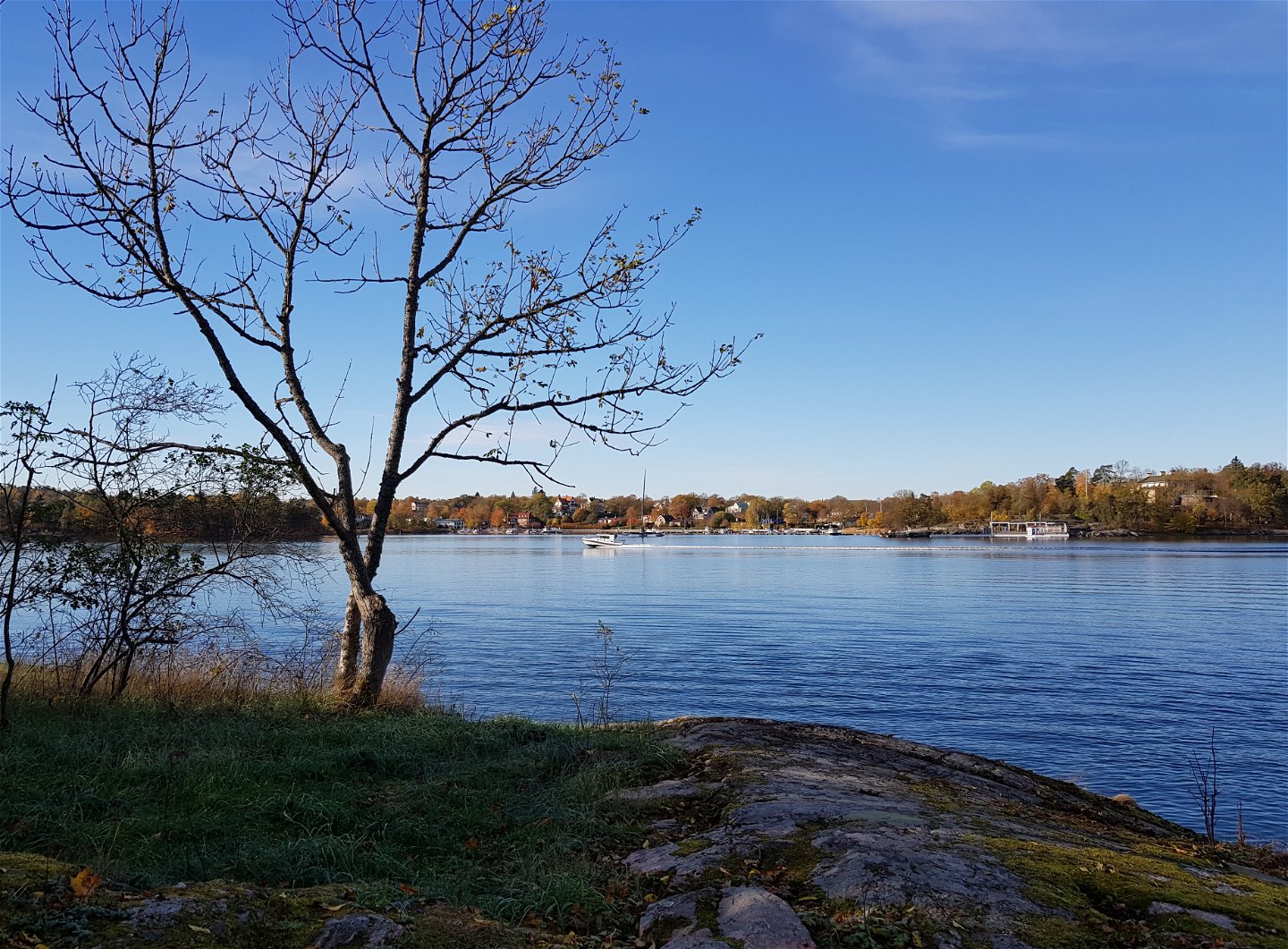 Utsikt mot Djursholm från Taheiti. Foto Lidingö stad