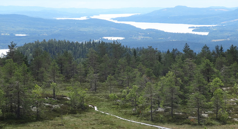 Från toppen får du en milsvid utsikt.