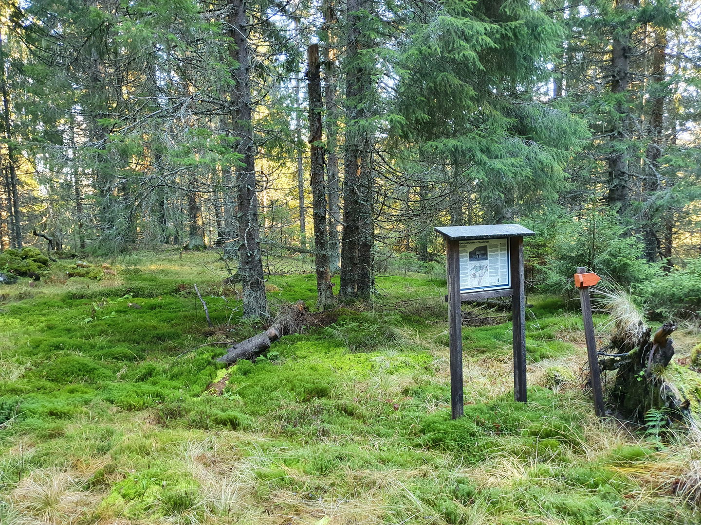 Infoskylt med historia för Filipustorpet