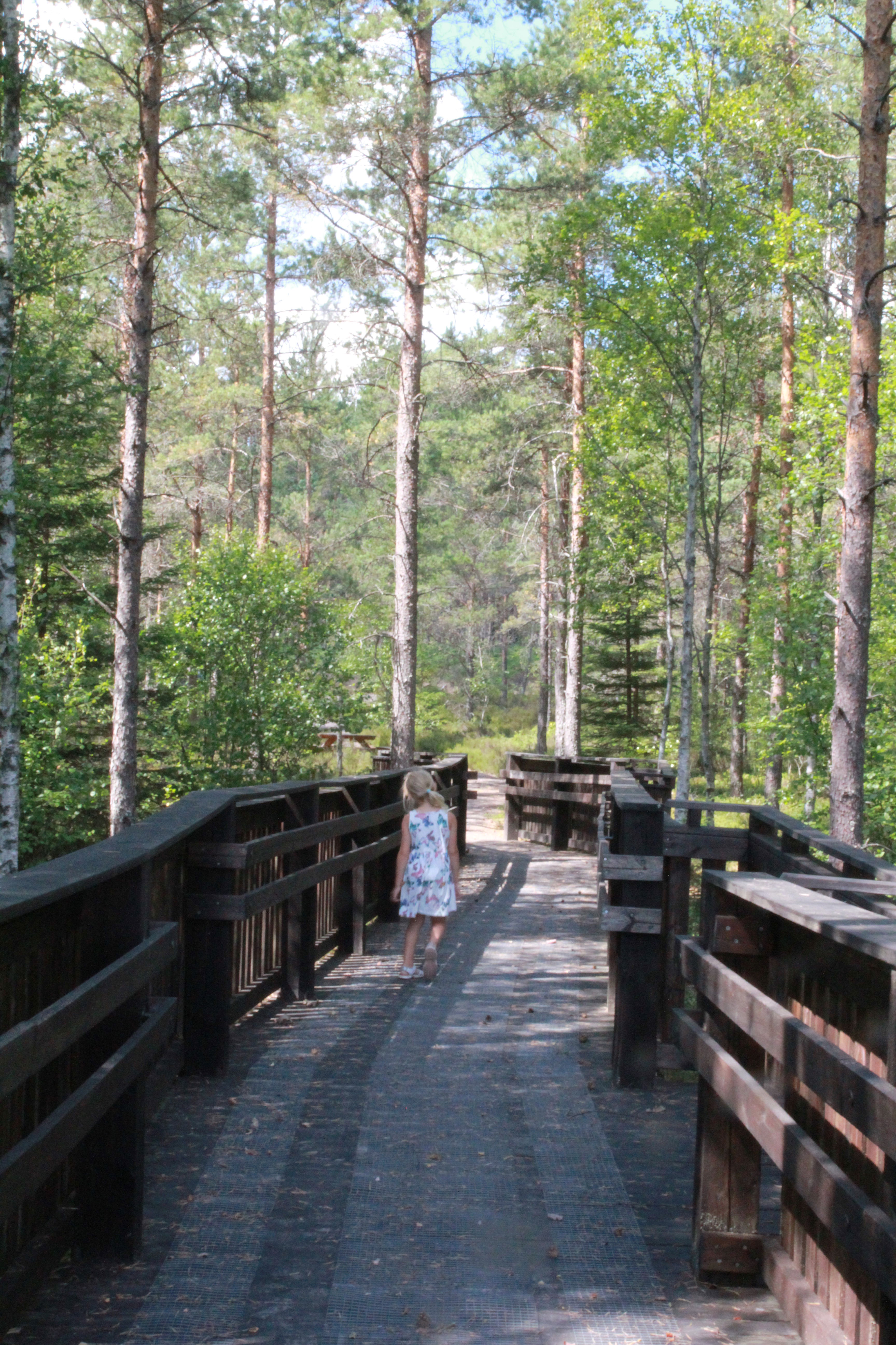 Vithults naturreservat | Naturkartan