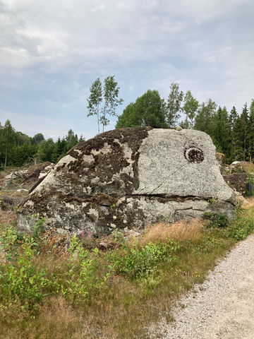 Konst: Big Dino