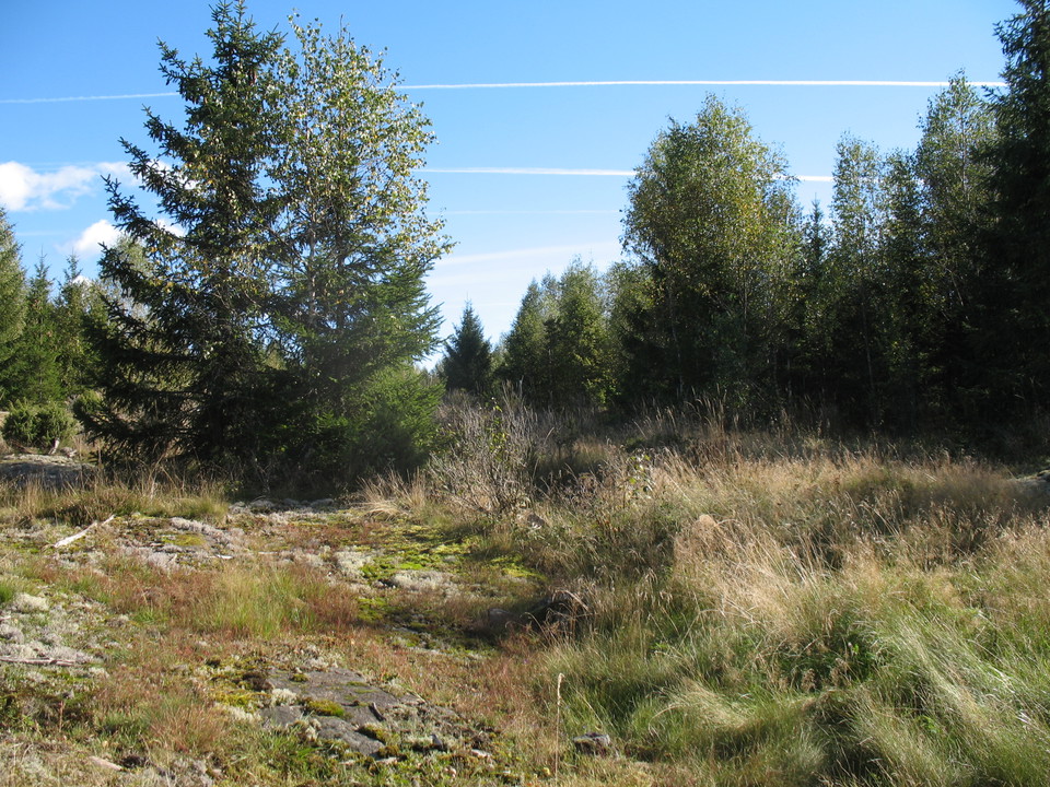 Aspdalssjöns naturreservat