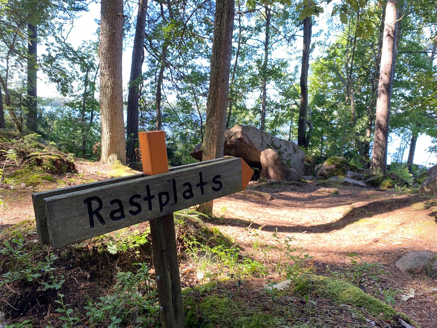 Närbild på en vägvisare med texten "rastplats" på. I bakgrunden är det en vandringsstig som går genom skogen.