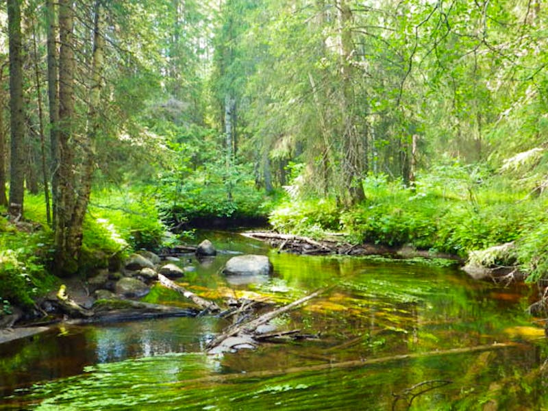 Sollefteå