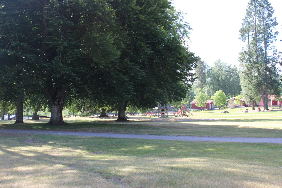 Stora gräsytor