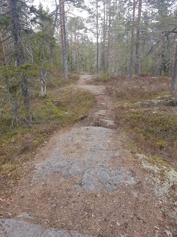 Mittnordenleden Södra Berget-Stöde