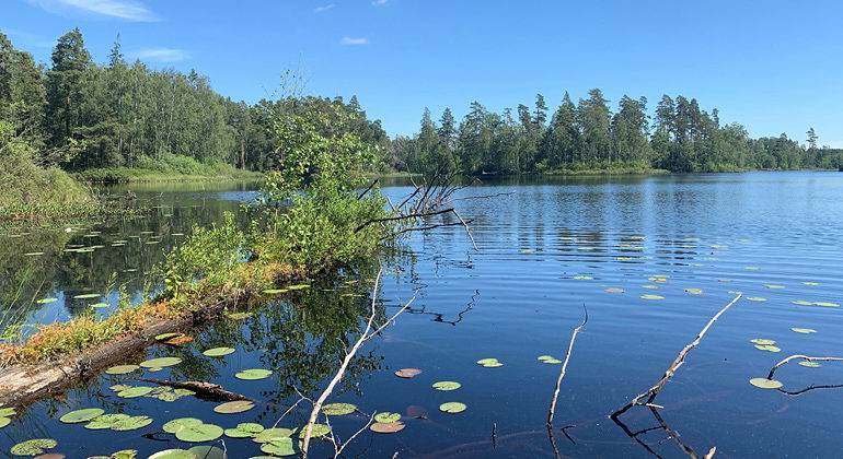 Södra Kroksjön.