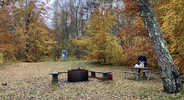 Rastplats vid sjön nära Ljungens parkering.