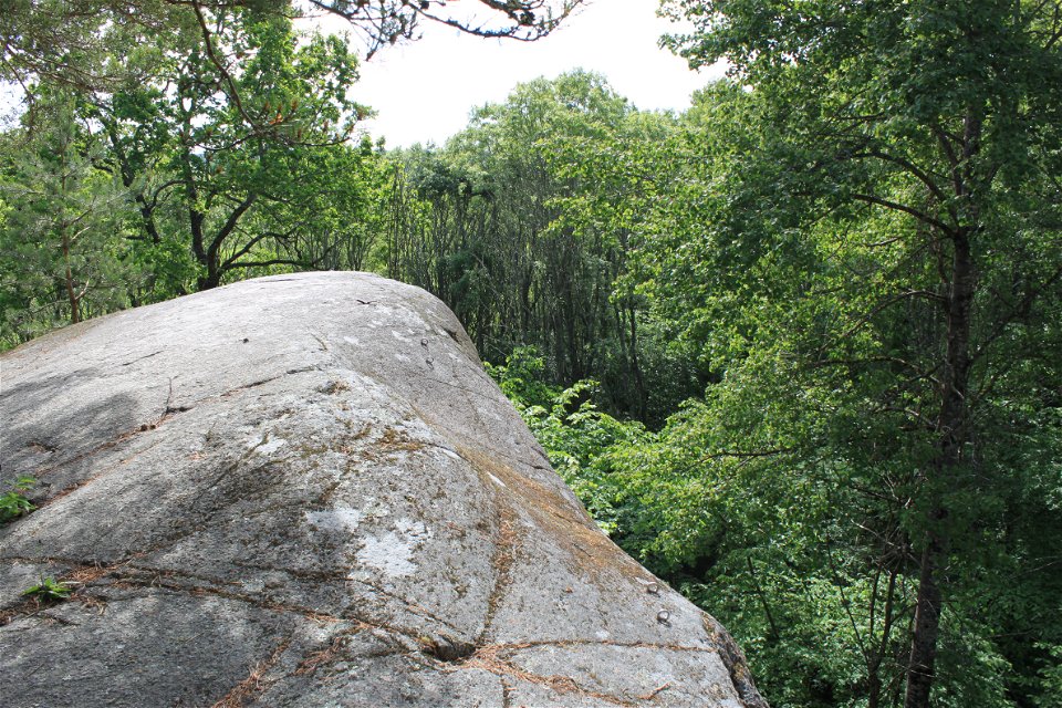 Närbild på en stenhäll som reser sig högt upp över landskapet. I bakgrunden är det skog.