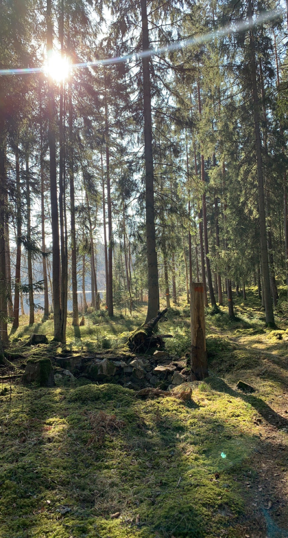 Höglandsleden etapp HÖ9 Lindshammar - Ramkvilla - En del av Smålandsleden