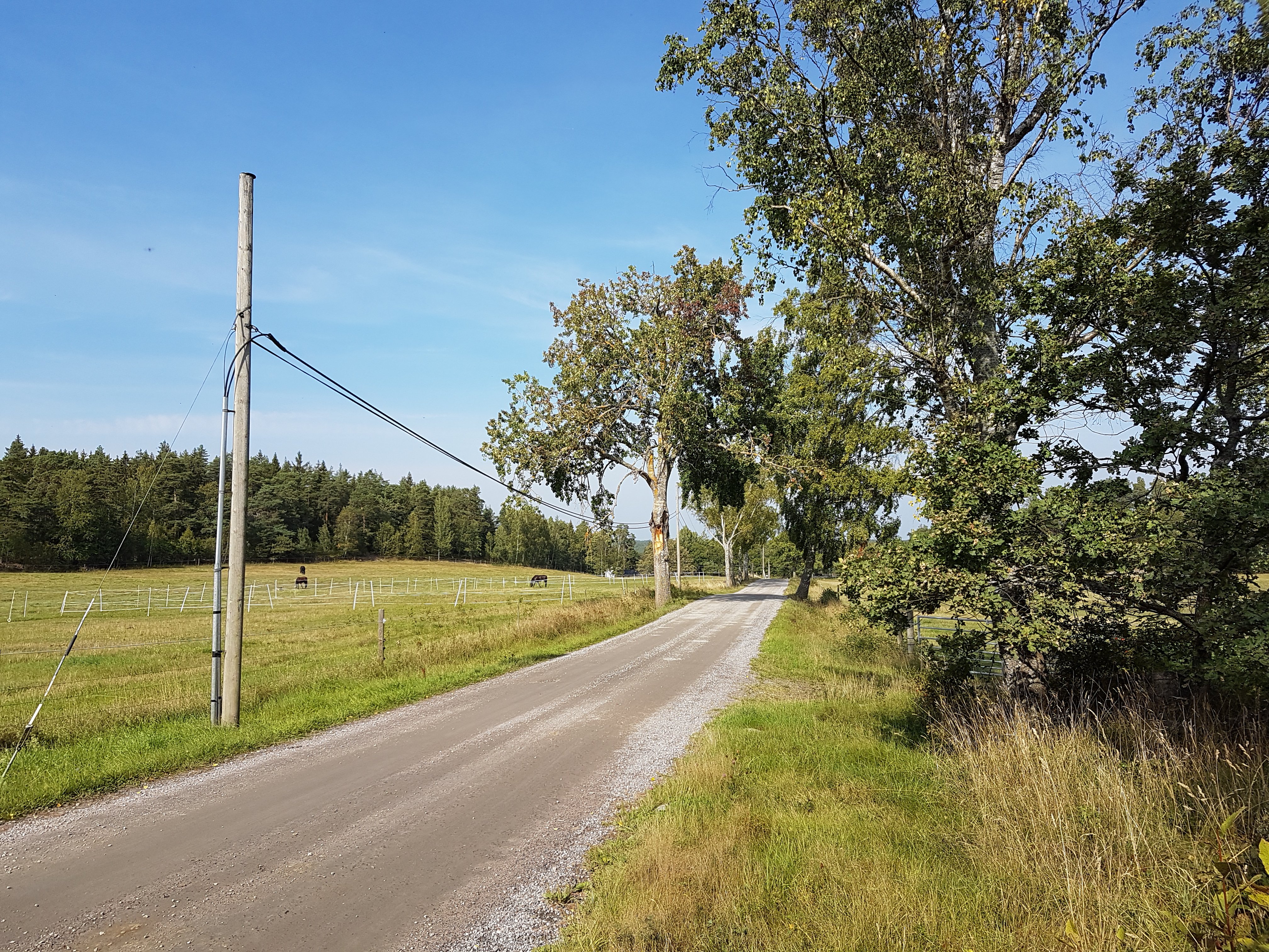 Följ Rävviksvägen tillbaka till gården. Foto Lidingö stad.