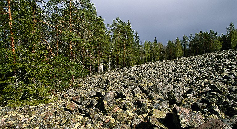 Klapperstensfältet på Bälingeberget är vidsträckt.