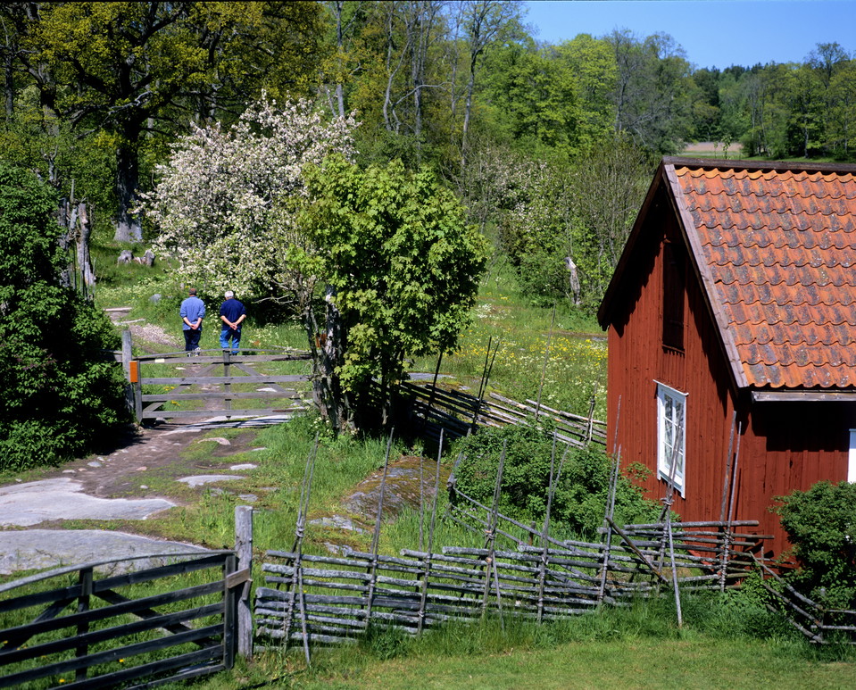 Vacker bygata mellan gärdesgårdarna.