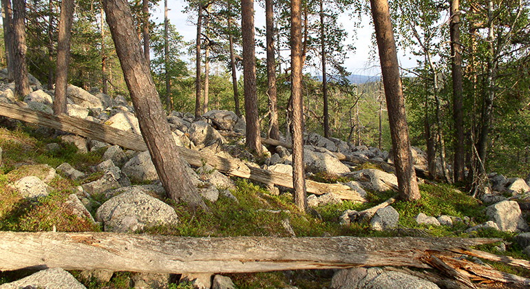 Rättselberget.