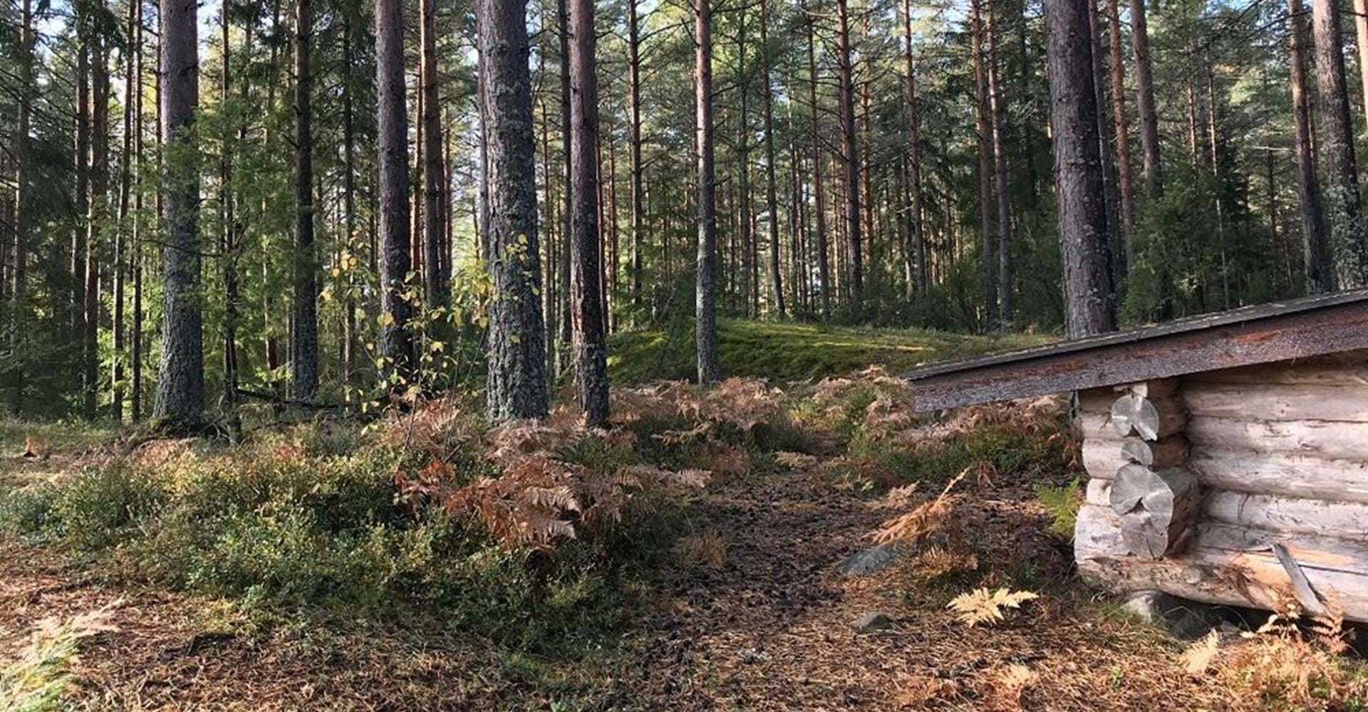 Vindskydd Bleckenstad, Mjölby